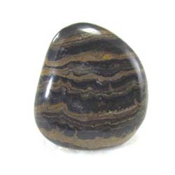 polished stromatolite