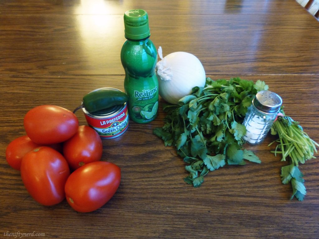 Ingredients for fresh, homemade salsa